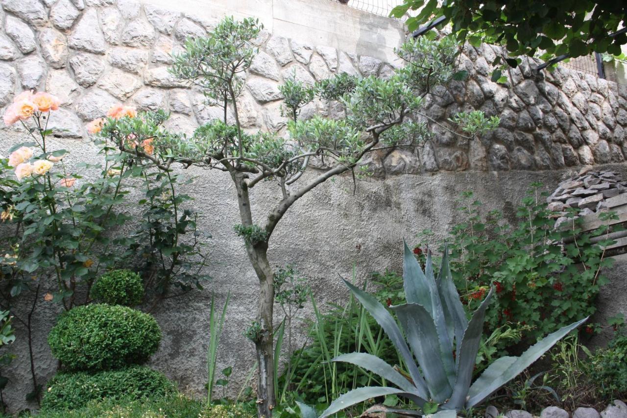 Lux Villa Fiume Esterno foto